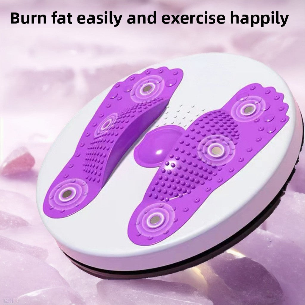 Magnetic Fitness Twist Disc