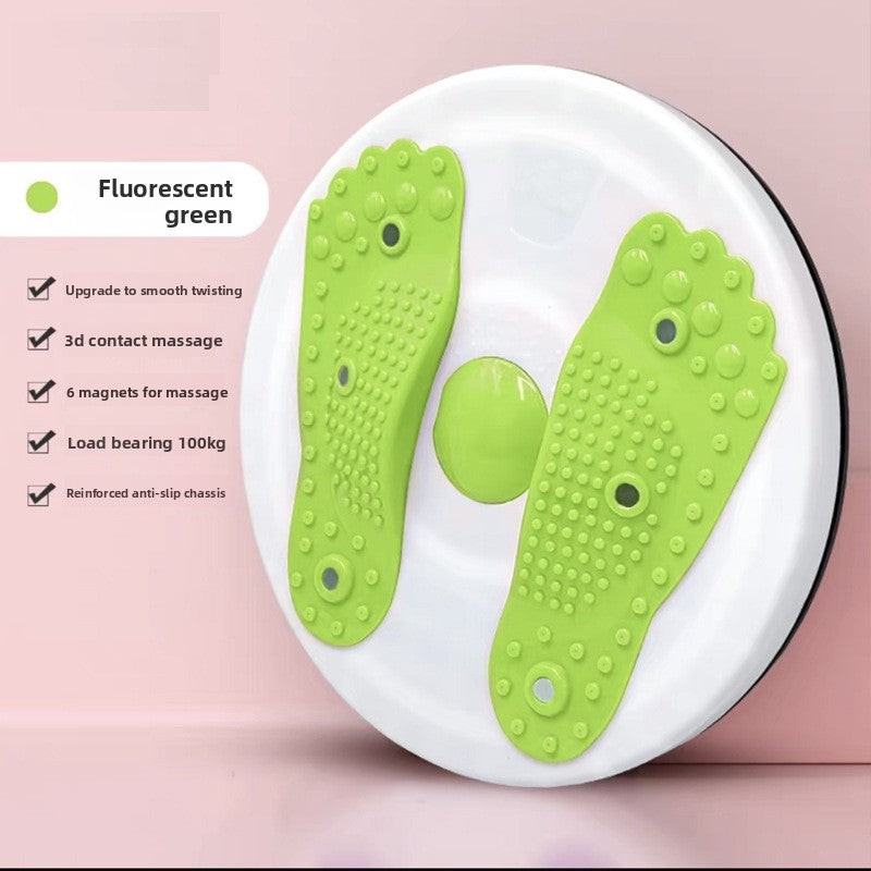 Magnetic Fitness Twist Disc