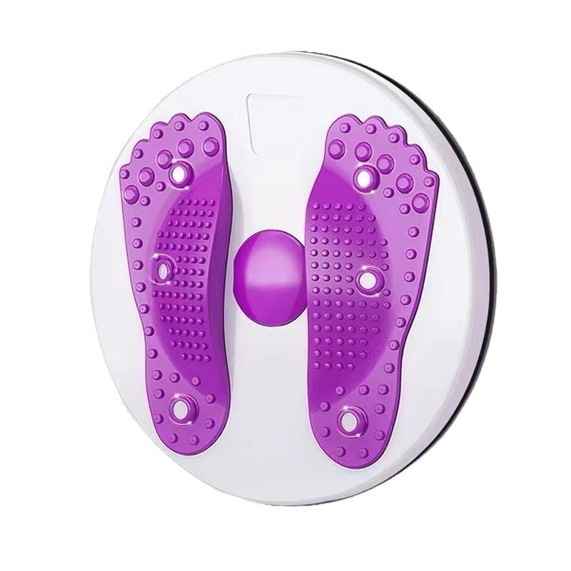 Magnetic Fitness Twist Disc