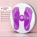 Magnetic Fitness Twist Disc