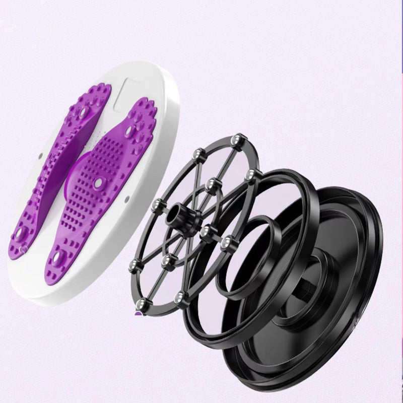 Magnetic Fitness Twist Disc