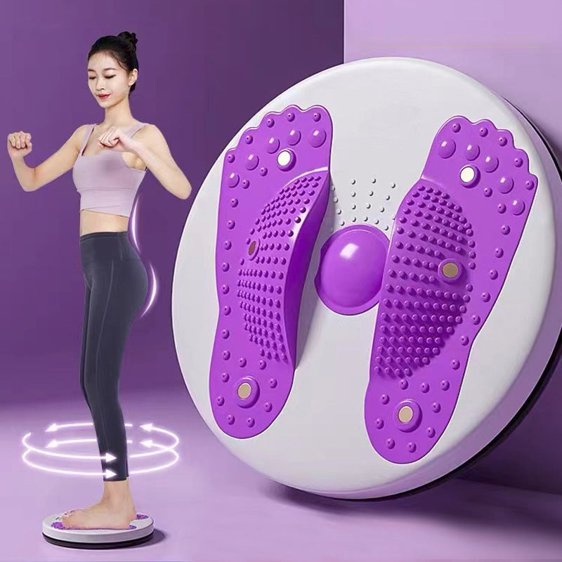 Magnetic Fitness Twist Disc